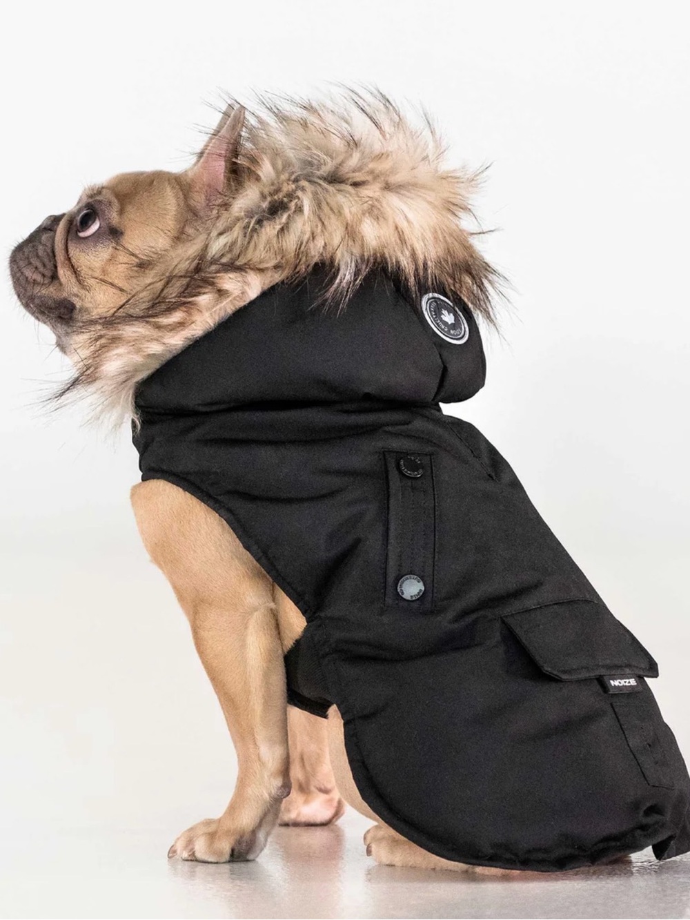 Noize Black Dog Winter Coat with Faux-Fur Hood